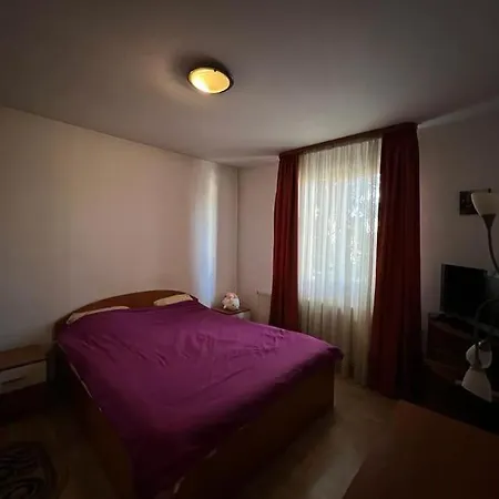 8 Oaspeti 布加勒斯特