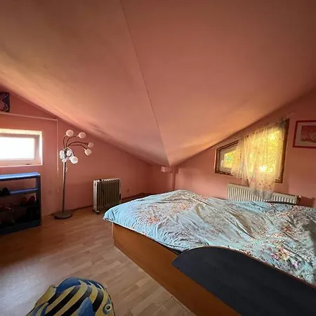 8 Oaspeti Vila *