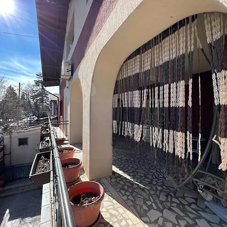 8 Oaspeti Vila *