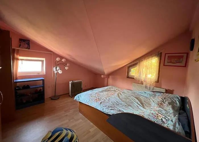 8 Oaspeti Villa *