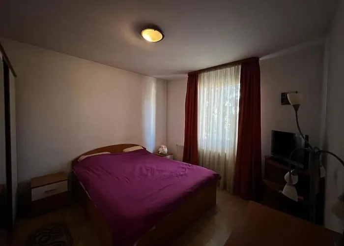 8 Oaspeti Бухарест