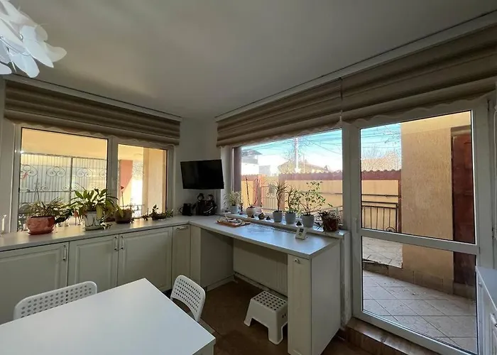 Villa 8 Oaspeti Bukarest