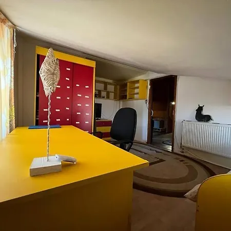 8 Oaspeti